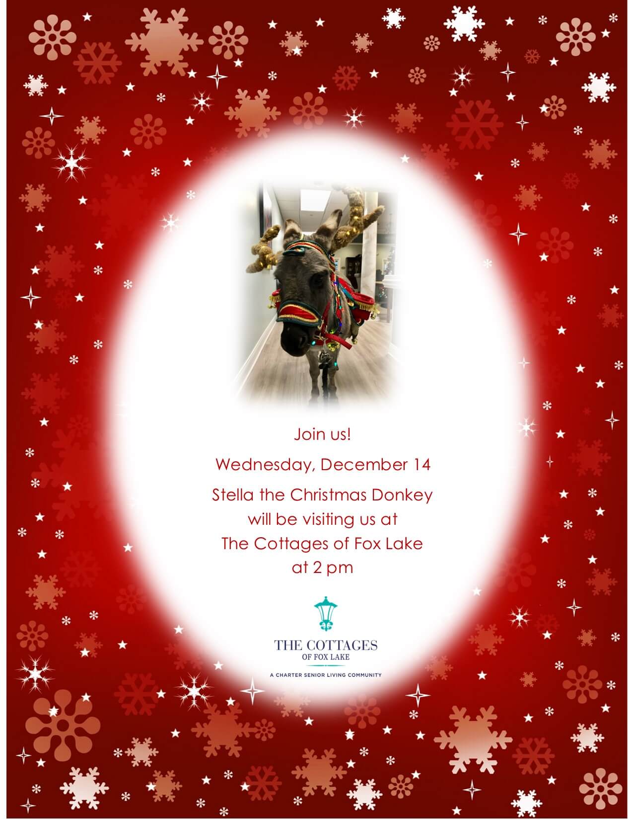 Cottages of Fox Lake - Assisted Living and Memory Care - Stella the Christmas Donkey